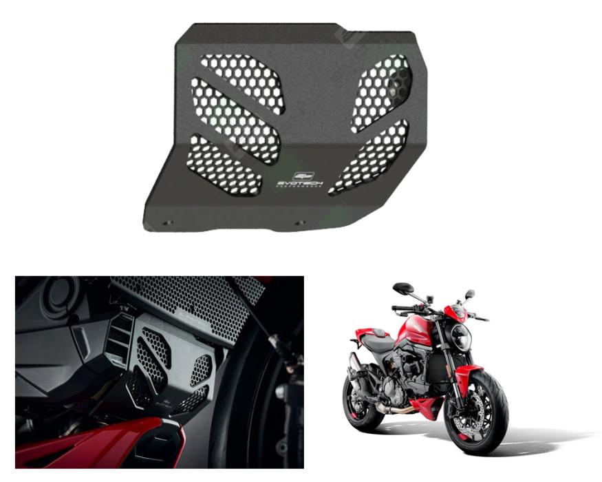 Ducati Monster 950 Motorschutz ab 2021 von Evotech Performance